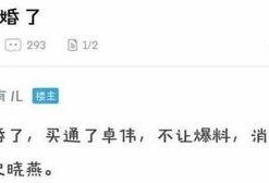 卓伟爆料周迅最新消息,神秘事件引关注