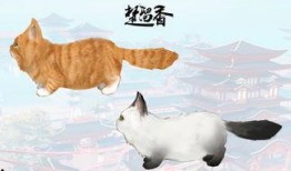 圆梦萌宠模式最新爆料,萌宠养成新篇章即将开启！