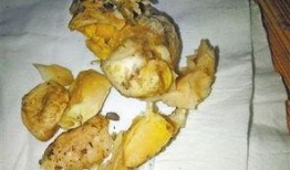 鸡的最新爆料,揭秘最新鸡类爆料背后的秘密