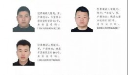 魏县最新爆料消息今天,最新爆料揭示惊人真相，事件进展追踪